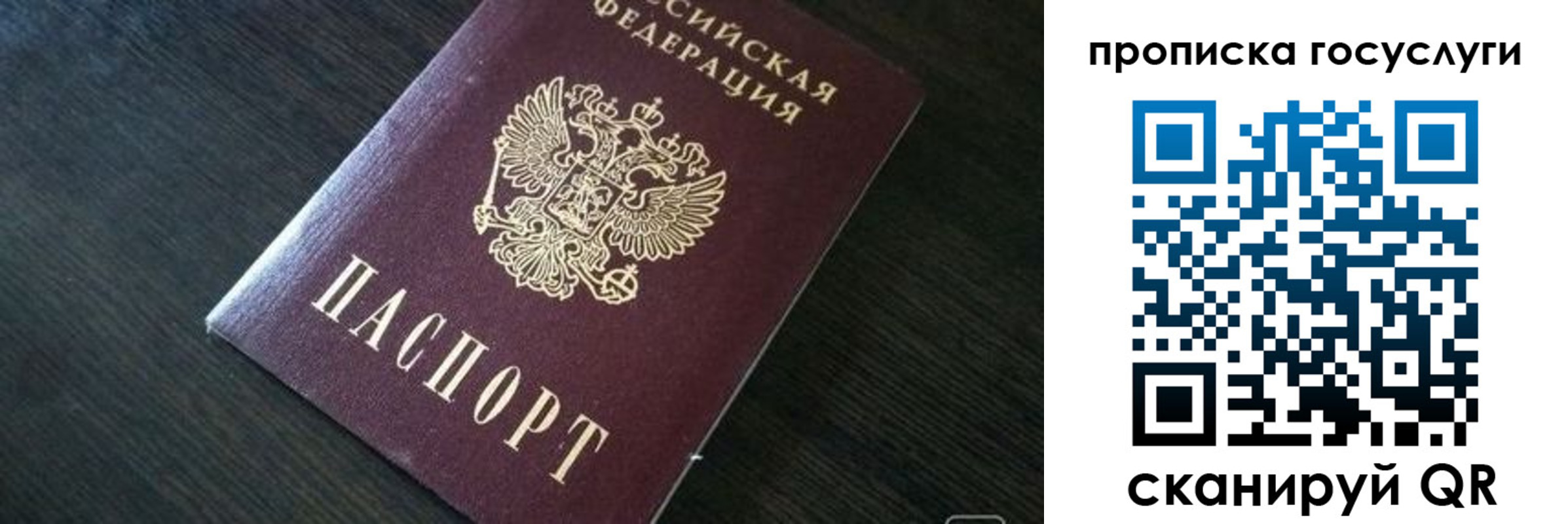 временная регистрация недорого в Димитровграде